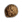 22px-Pfirsichsamen.png
